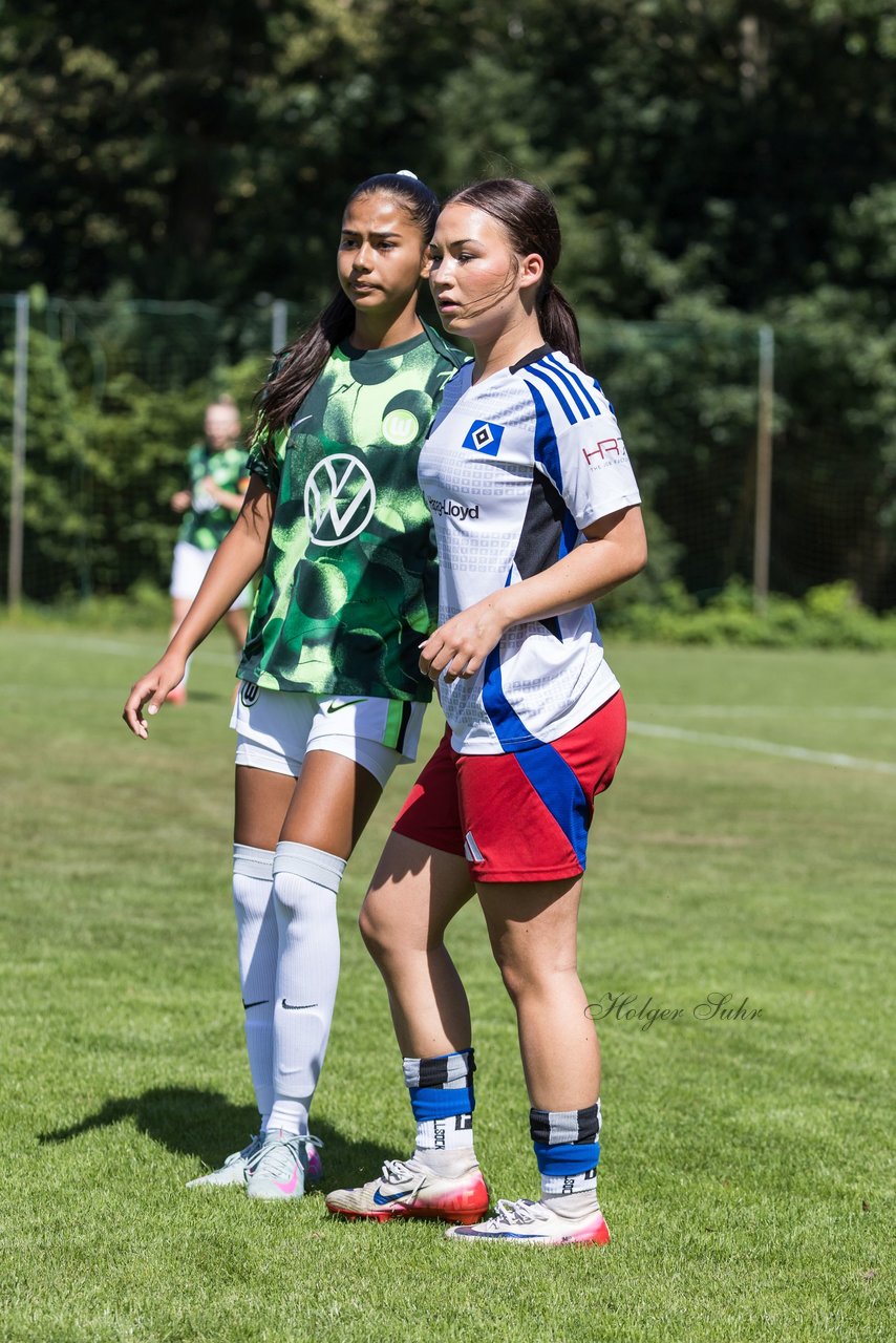 Bild 94 - wBJ Hamburger SV - VfL Wolfsburg : Ergebnis: 5:1